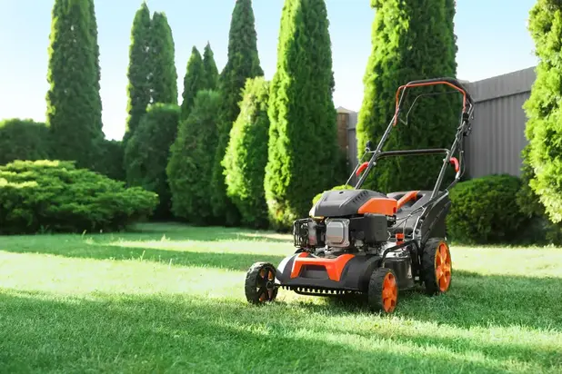 Lawn Mowers